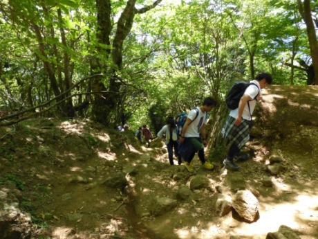 画像6